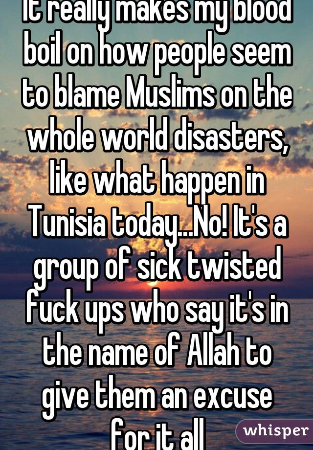 It really makes my blood boil on how people seem to blame Muslims on the whole world disasters, like what happen in Tunisia today...No! It's a group of sick twisted fuck ups who say it's in the name of Allah to give them an excuse for it all