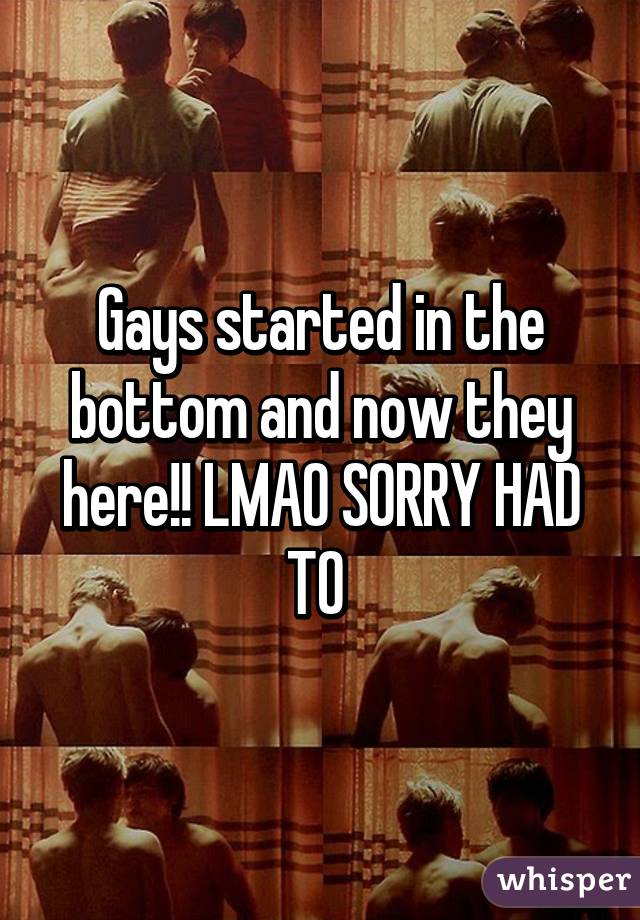 Gays started in the bottom and now they here!! LMAO SORRY HAD TO 