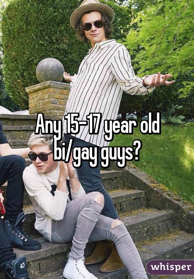 Any 15-17 year old bi/gay guys?
