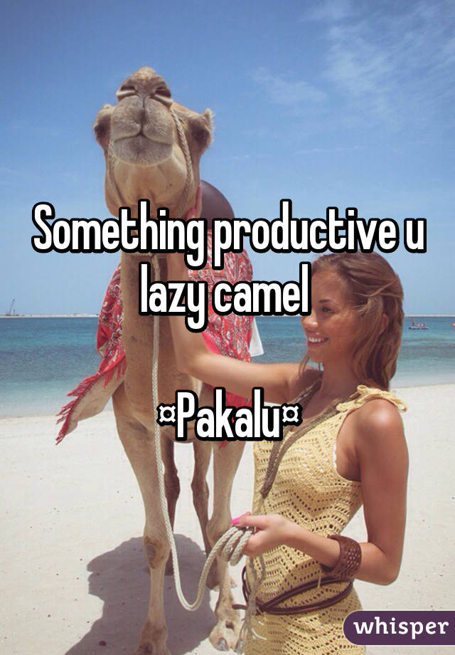 Something productive u lazy camel 

¤Pakalu¤