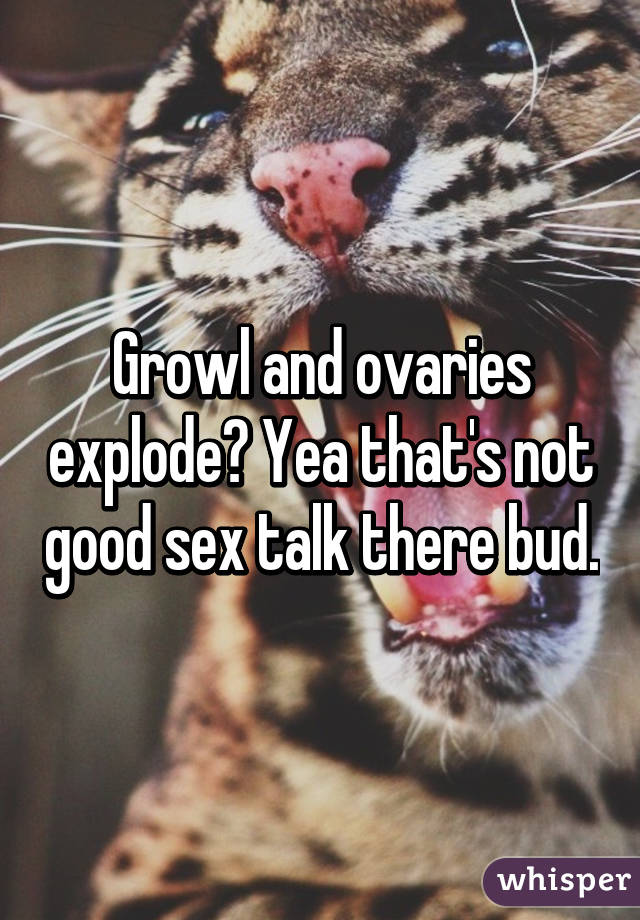 Growl and ovaries explode? Yea that's not good sex talk there bud.