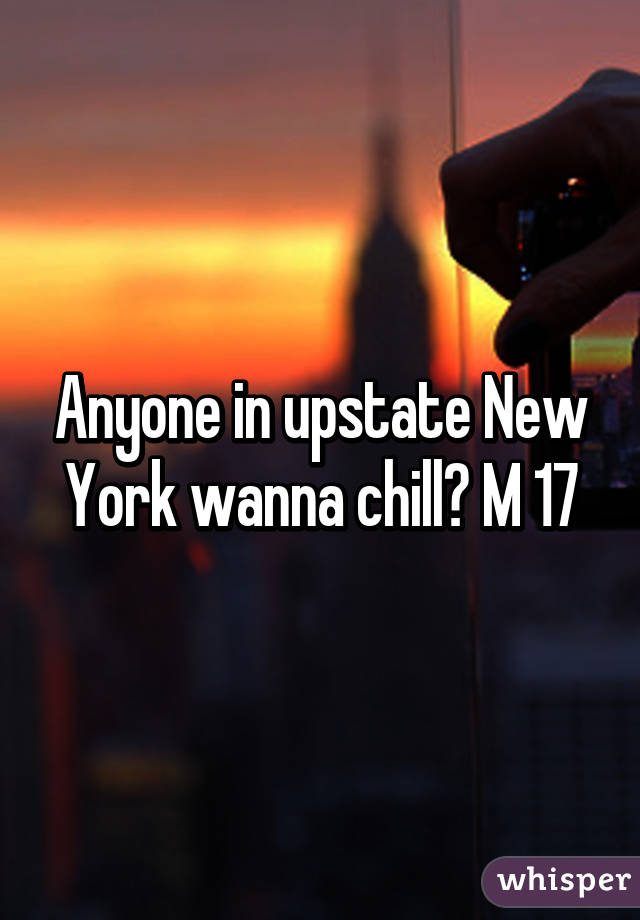 Anyone in upstate New York wanna chill? M 17