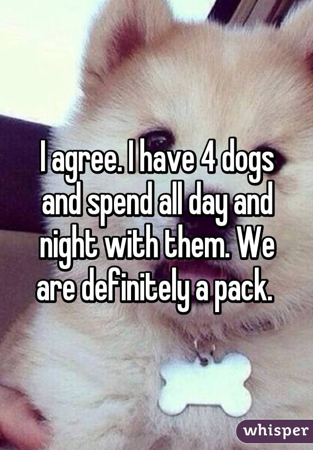 I agree. I have 4 dogs and spend all day and night with them. We are definitely a pack. 