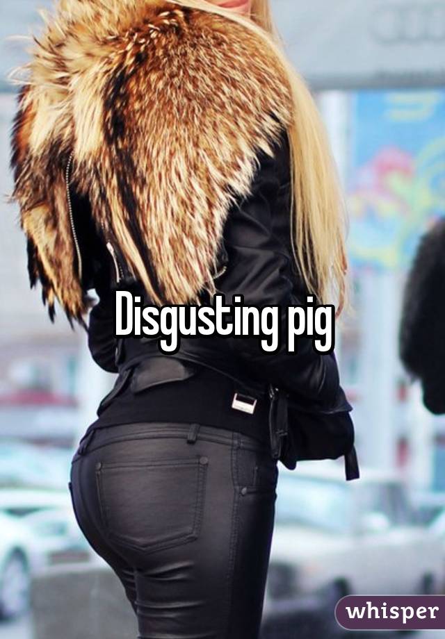 Disgusting pig