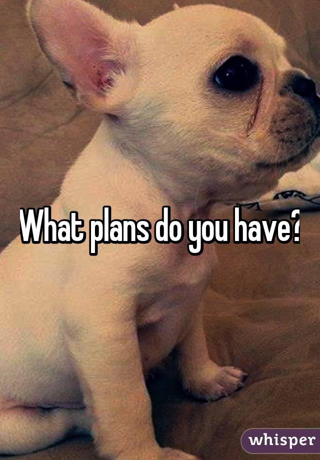 What plans do you have?
