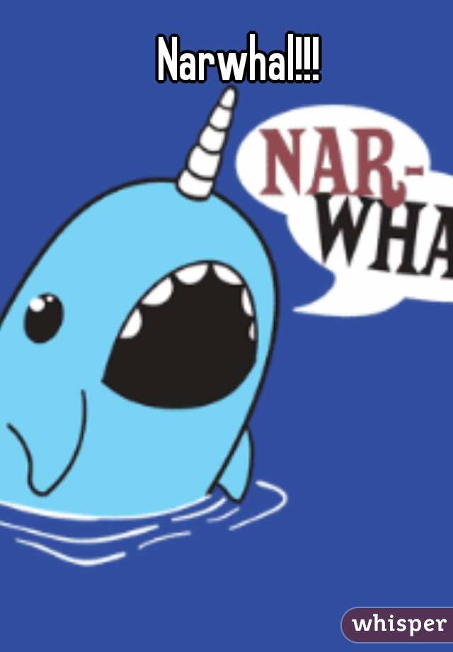 Narwhal!!!