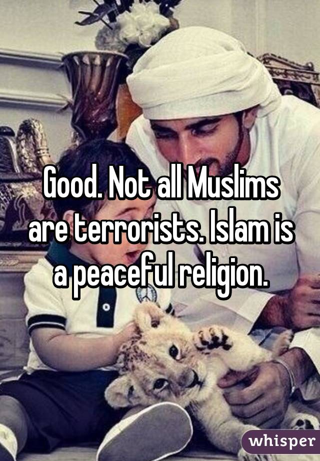 Good. Not all Muslims are terrorists. Islam is a peaceful religion.