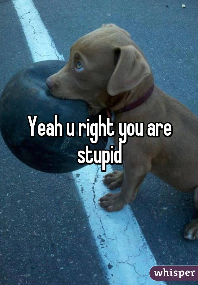 Yeah u right you are stupid