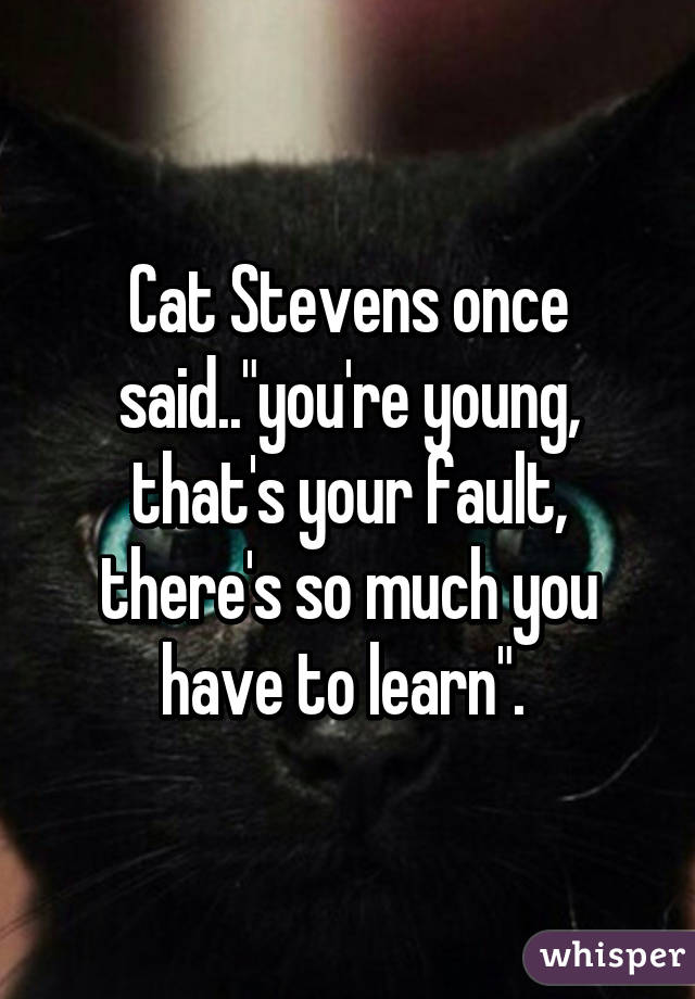 Cat Stevens once said.."you're young, that's your fault, there's so much you have to learn". 