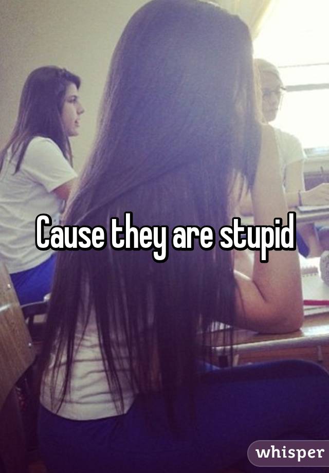 Cause they are stupid