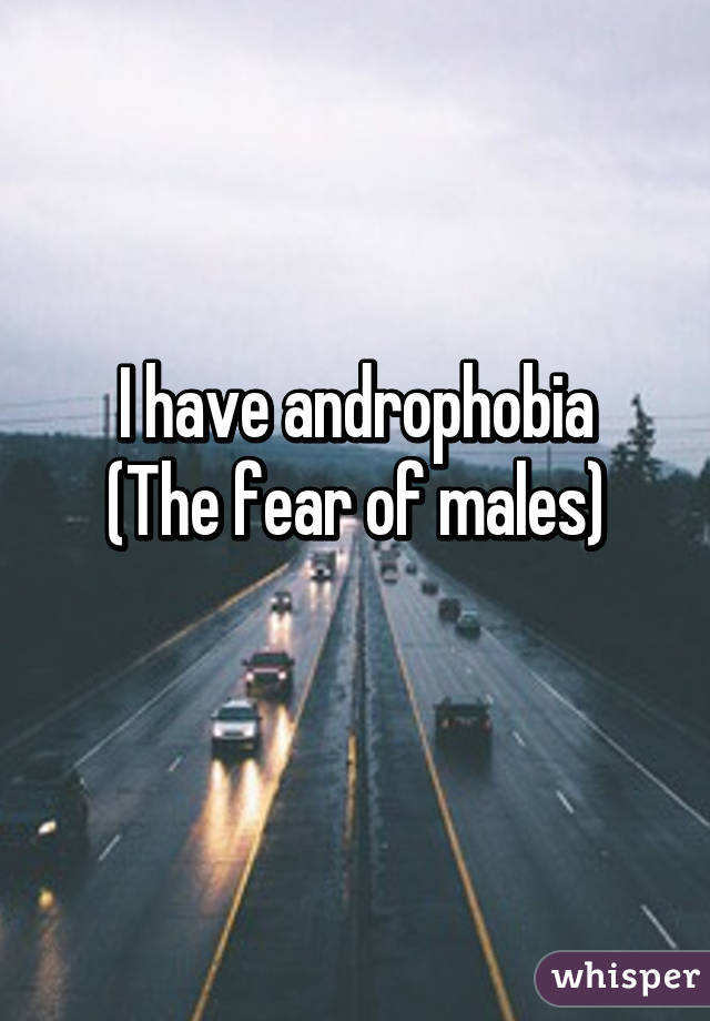 I have androphobia
(The fear of males)
