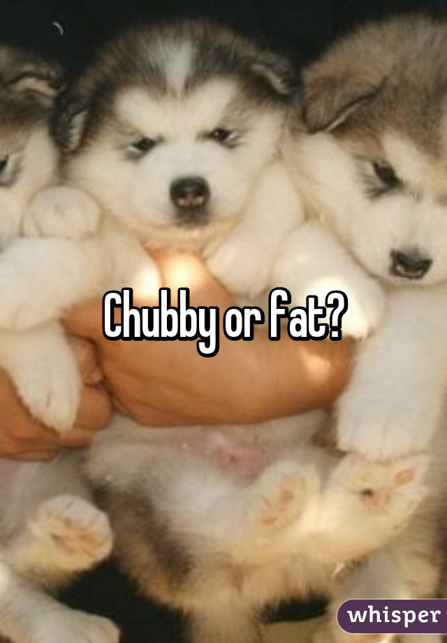 Chubby or fat?