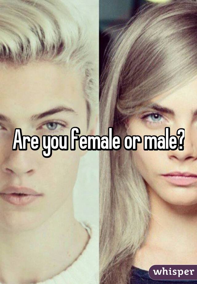 Are you female or male?