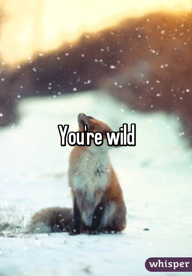 You're wild