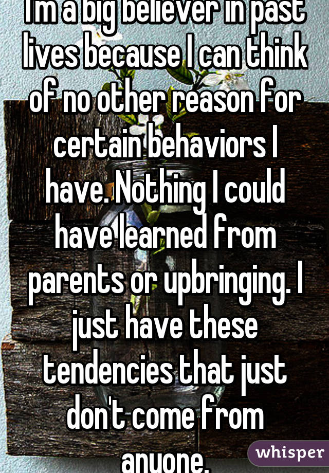 I'm a big believer in past lives because I can think of no other reason for certain behaviors I have. Nothing I could have learned from parents or upbringing. I just have these tendencies that just don't come from anyone.