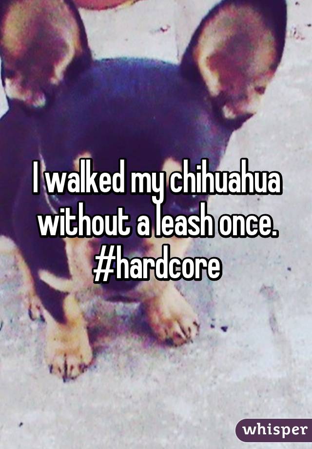I walked my chihuahua without a leash once.
#hardcore