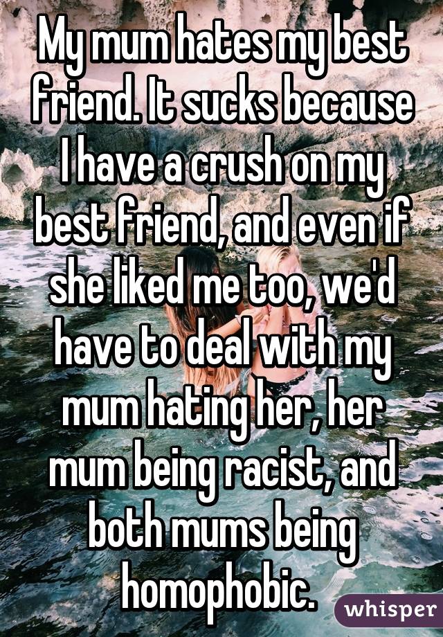 My mum hates my best friend. It sucks because I have a crush on my best friend, and even if she liked me too, we'd have to deal with my mum hating her, her mum being racist, and both mums being homophobic. 