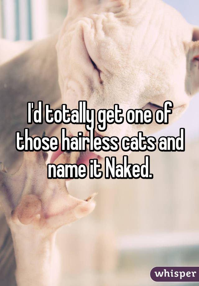 I'd totally get one of those hairless cats and name it Naked.