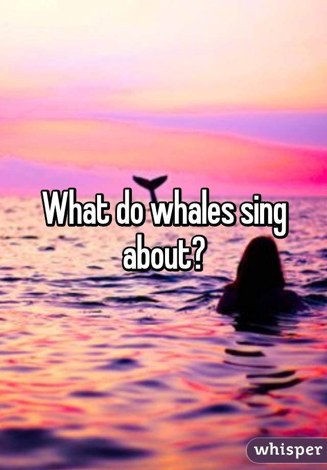 What do whales sing about?