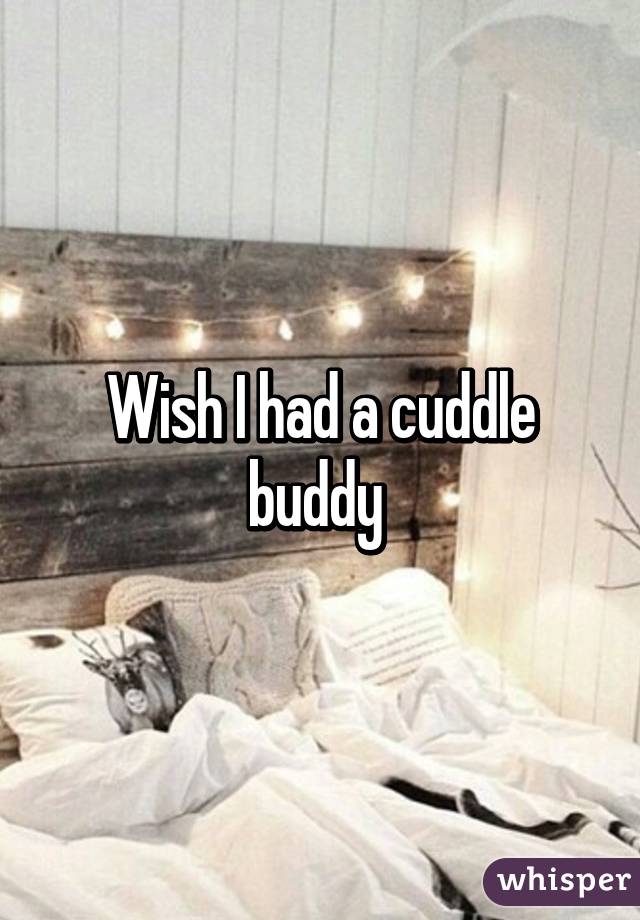 Wish I had a cuddle buddy 