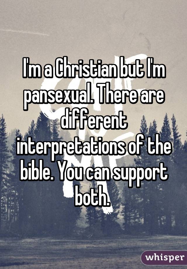 I'm a Christian but I'm pansexual. There are different interpretations of the bible. You can support both. 