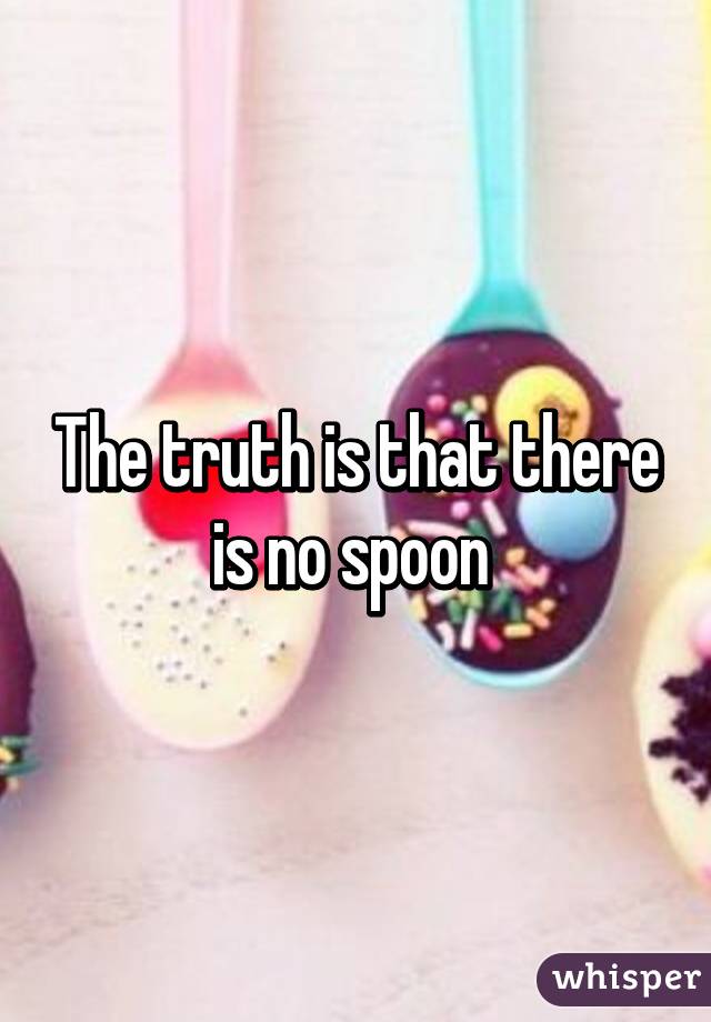 The truth is that there is no spoon 