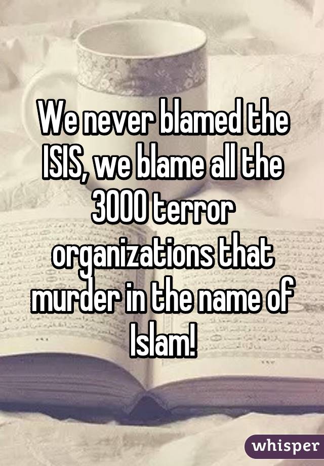 We never blamed the ISIS, we blame all the 3000 terror organizations that murder in the name of Islam!