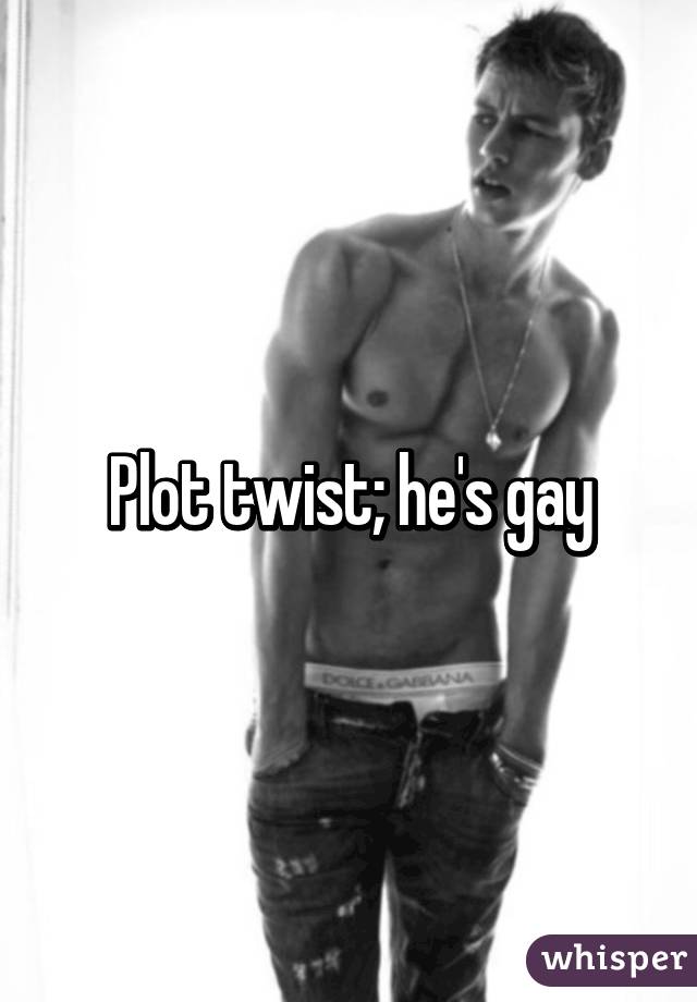 Plot twist; he's gay