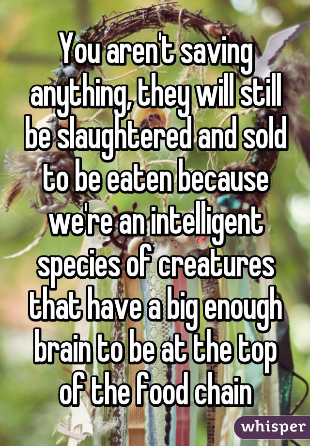 You aren't saving anything, they will still be slaughtered and sold to be eaten because we're an intelligent species of creatures that have a big enough brain to be at the top of the food chain