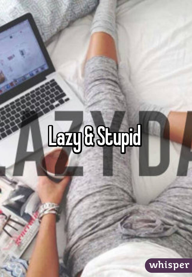 Lazy & Stupid 