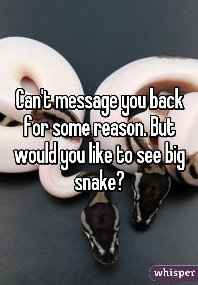 Can't message you back for some reason. But would you like to see big snake?