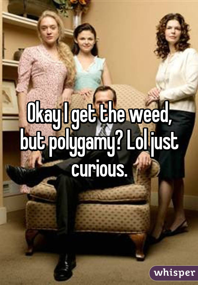 Okay I get the weed, but polygamy? Lol just curious.