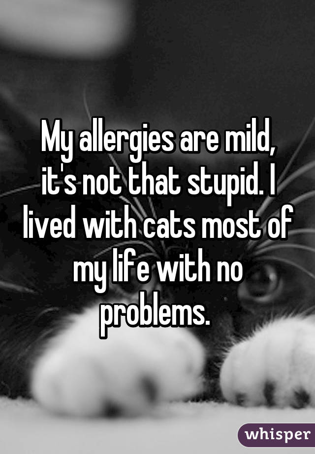 My allergies are mild, it's not that stupid. I lived with cats most of my life with no problems. 