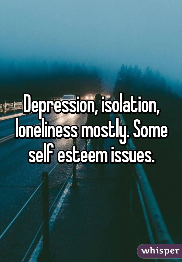 Depression, isolation, loneliness mostly. Some self esteem issues.