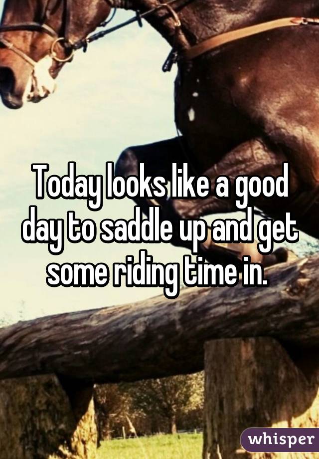 Today looks like a good day to saddle up and get some riding time in. 