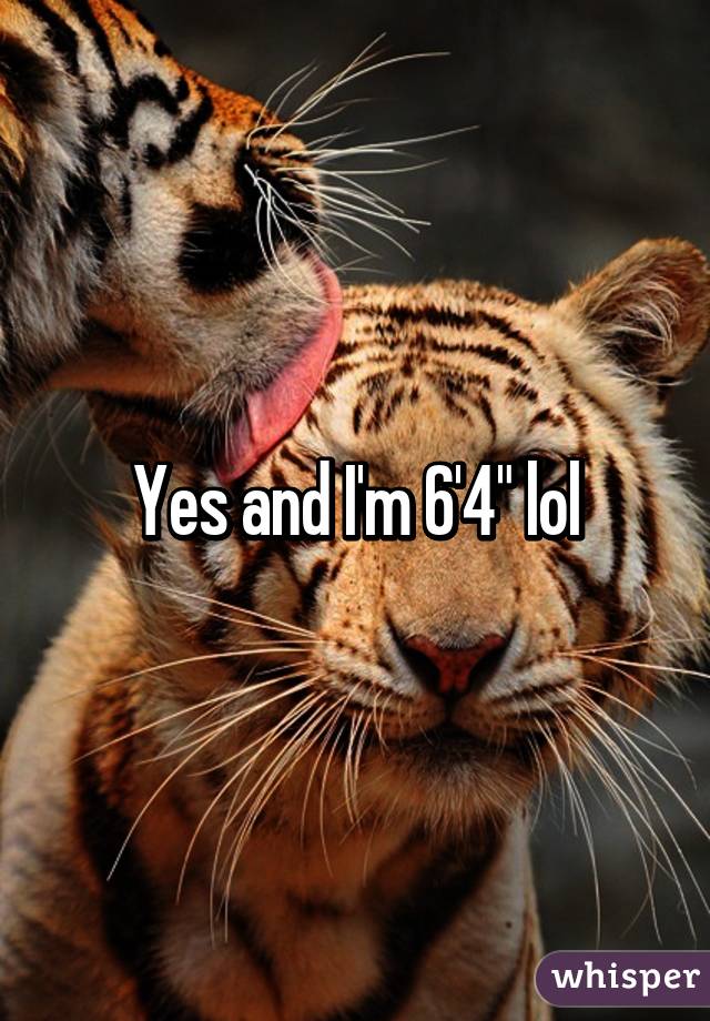 Yes and I'm 6'4" lol