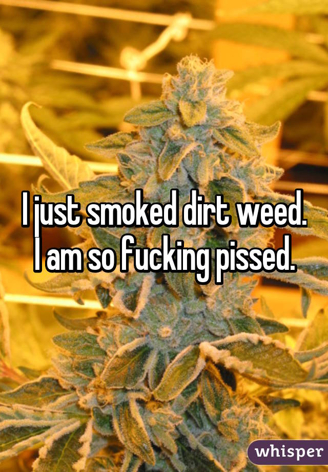 I just smoked dirt weed.
I am so fucking pissed.