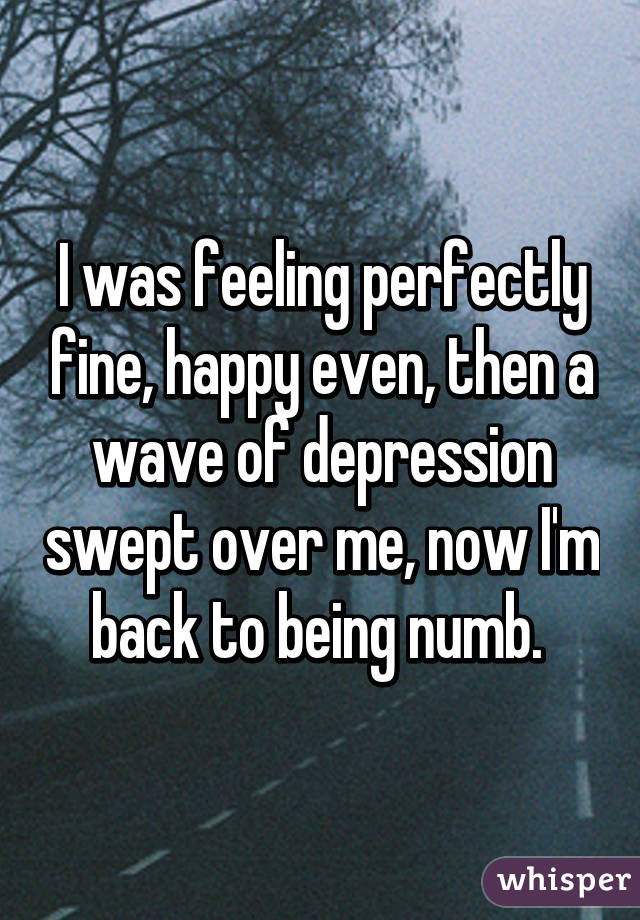 I was feeling perfectly fine, happy even, then a wave of depression swept over me, now I'm back to being numb. 