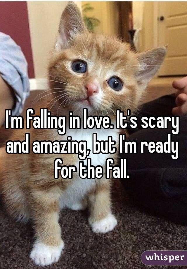 I'm falling in love. It's scary and amazing, but I'm ready for the fall. 