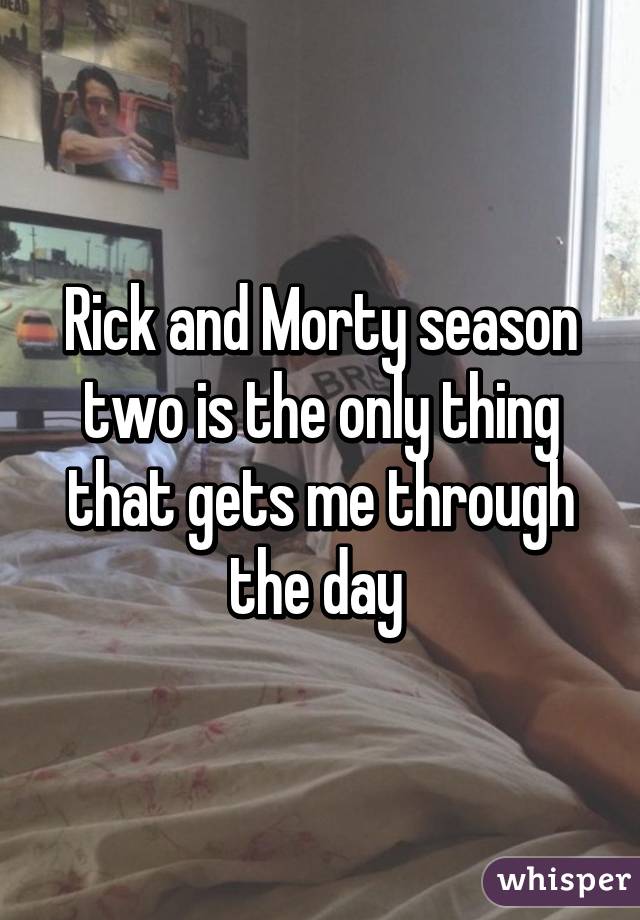 Rick and Morty season two is the only thing that gets me through the day 