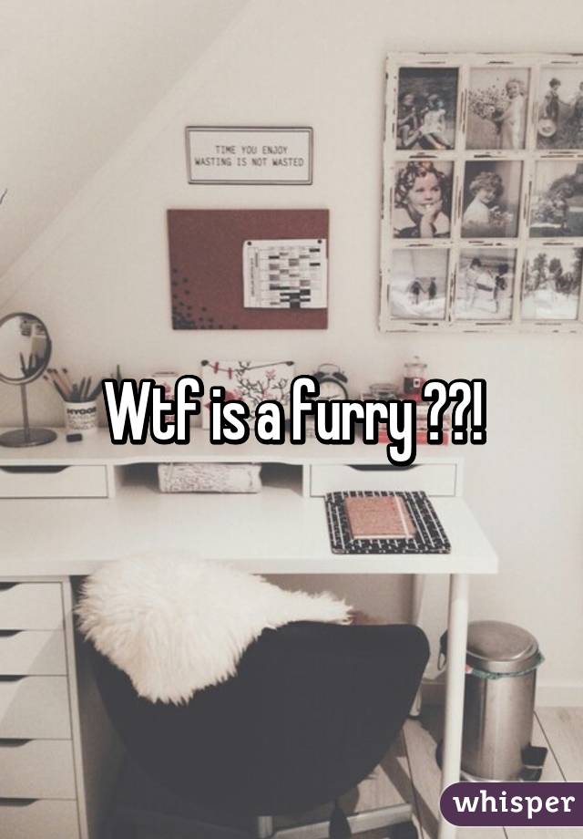 Wtf is a furry 😕?!