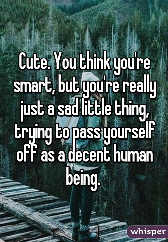 Cute. You think you're smart, but you're really just a sad little thing, trying to pass yourself off as a decent human being. 