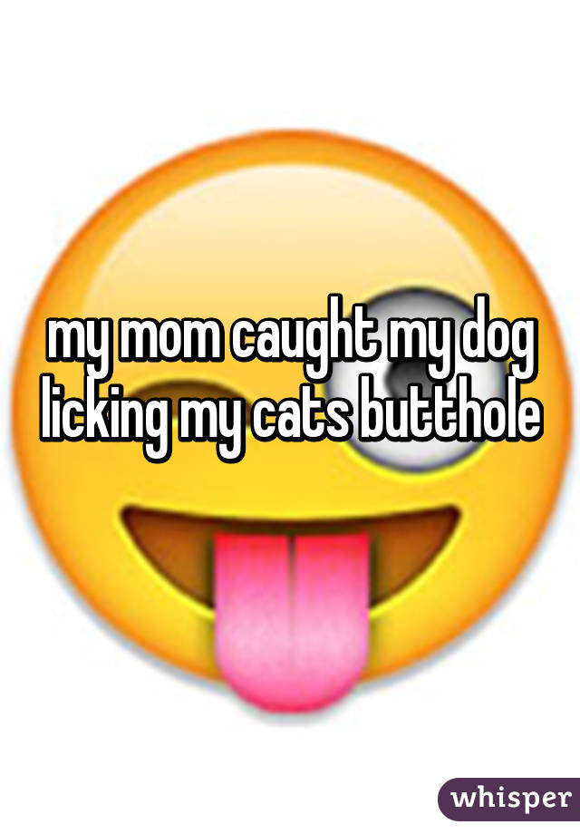 my mom caught my dog licking my cats butthole 