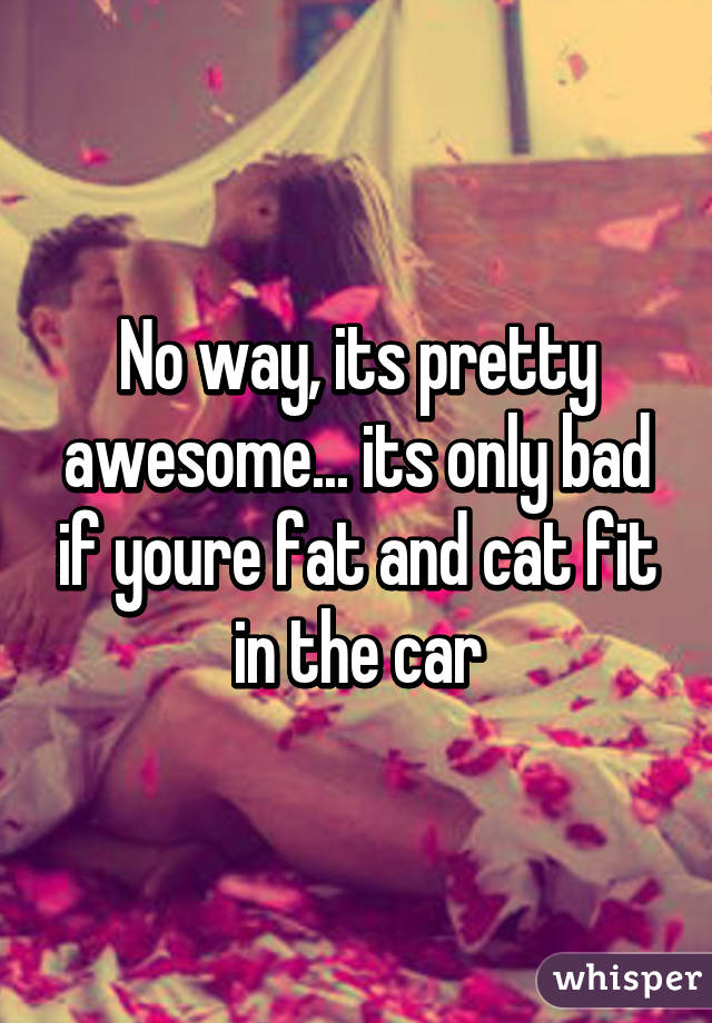 No way, its pretty awesome... its only bad if youre fat and cat fit in the car