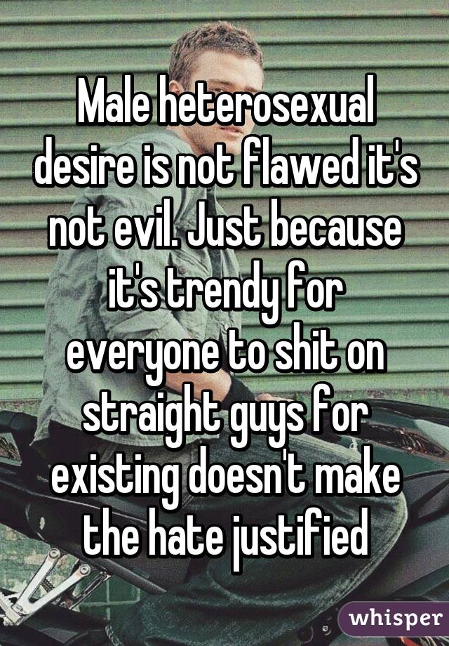 Male heterosexual desire is not flawed it's not evil. Just because it's trendy for everyone to shit on straight guys for existing doesn't make the hate justified