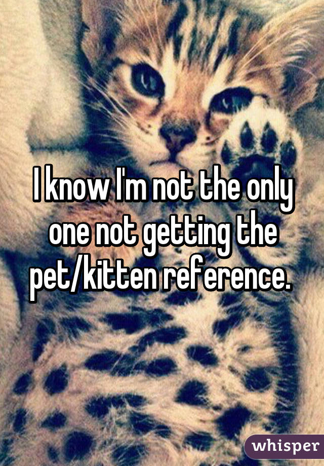 I know I'm not the only one not getting the pet/kitten reference. 