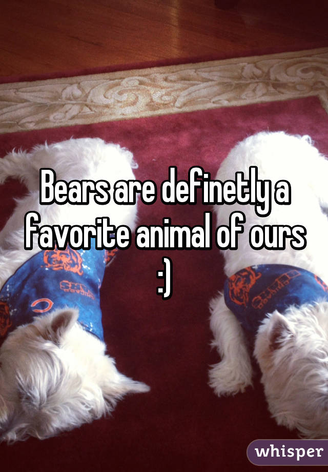 Bears are definetly a favorite animal of ours :)