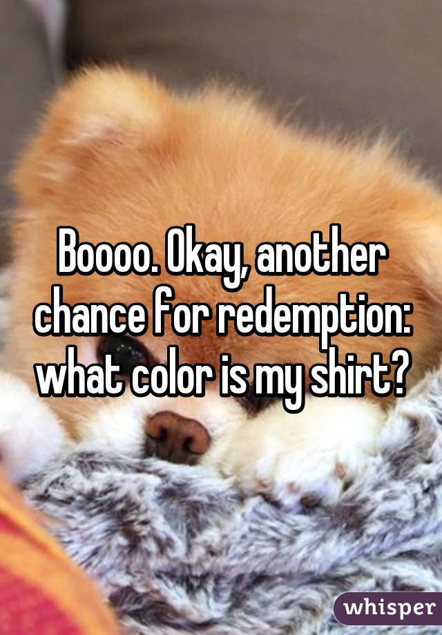 Boooo. Okay, another chance for redemption: what color is my shirt?