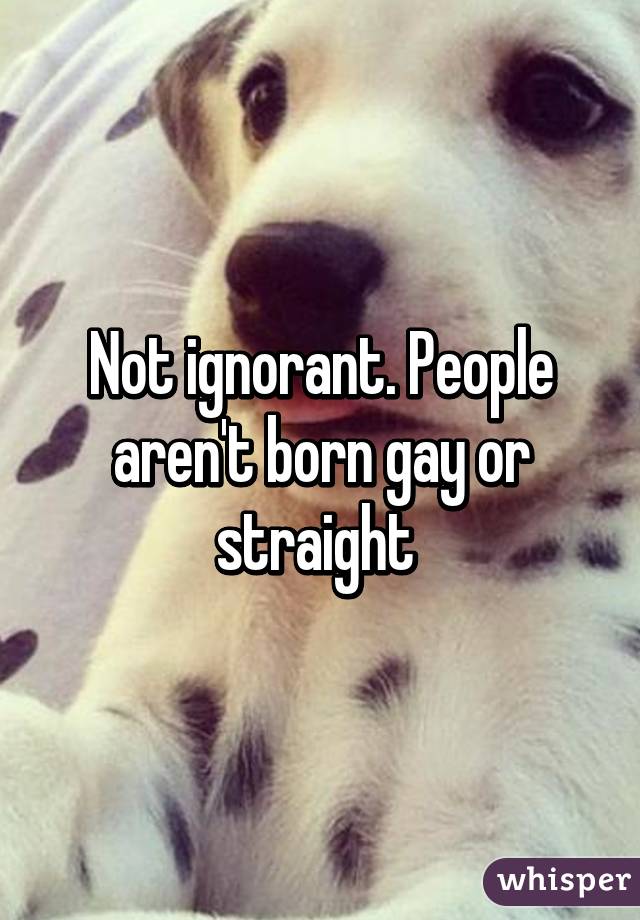 Not ignorant. People aren't born gay or straight 