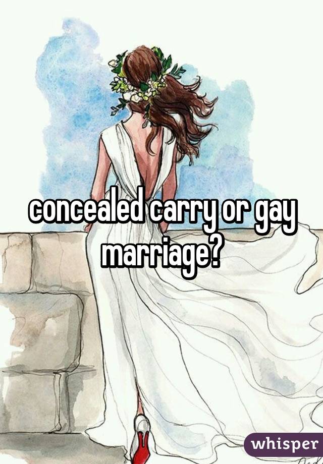 concealed carry or gay marriage?